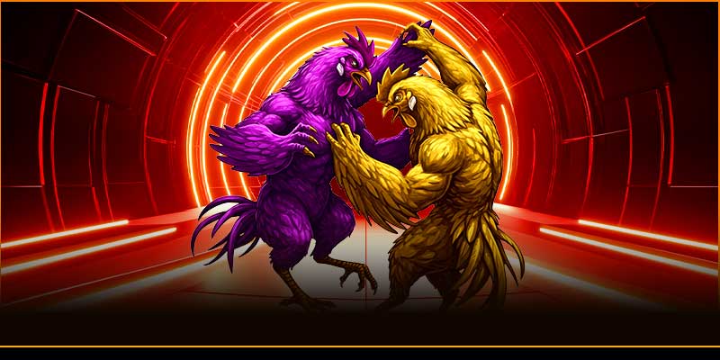 Hướng dẫn xem và chơi đá gà AU88 chi tiết