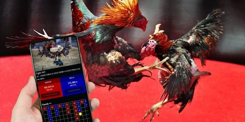 Đá gà cựa sắt là dạng thi đấu trong đó gà chiến được trang bị cựa kim loại